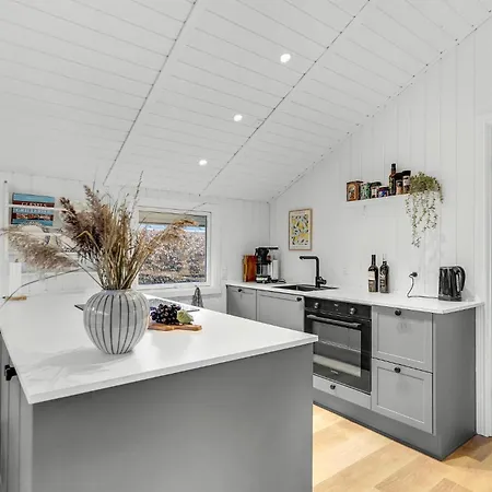 Tatil Evi 3 Bedroom Awesome In V Esbjerg